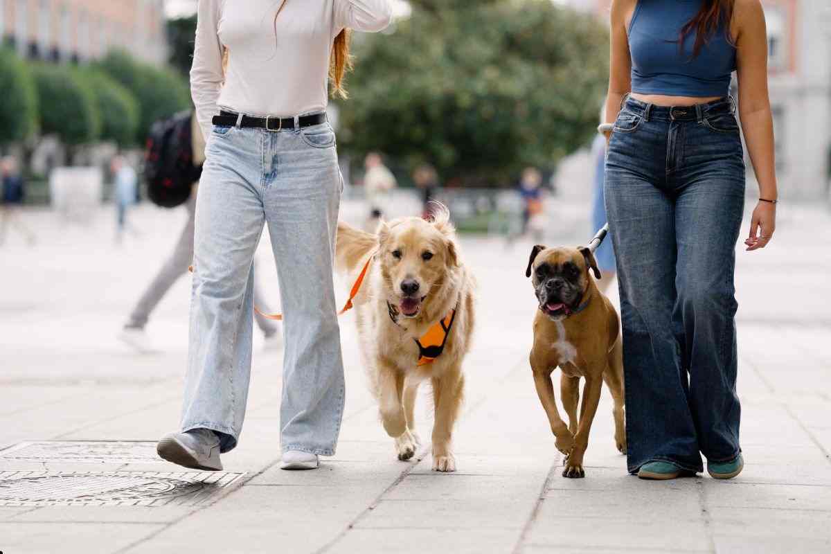 Cosa succede dopo 1 mese di camminate