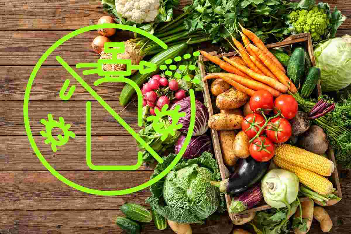 La rucola tra le verdure più piena di pesticidi